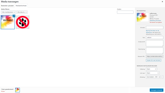 WordPress Uitleg